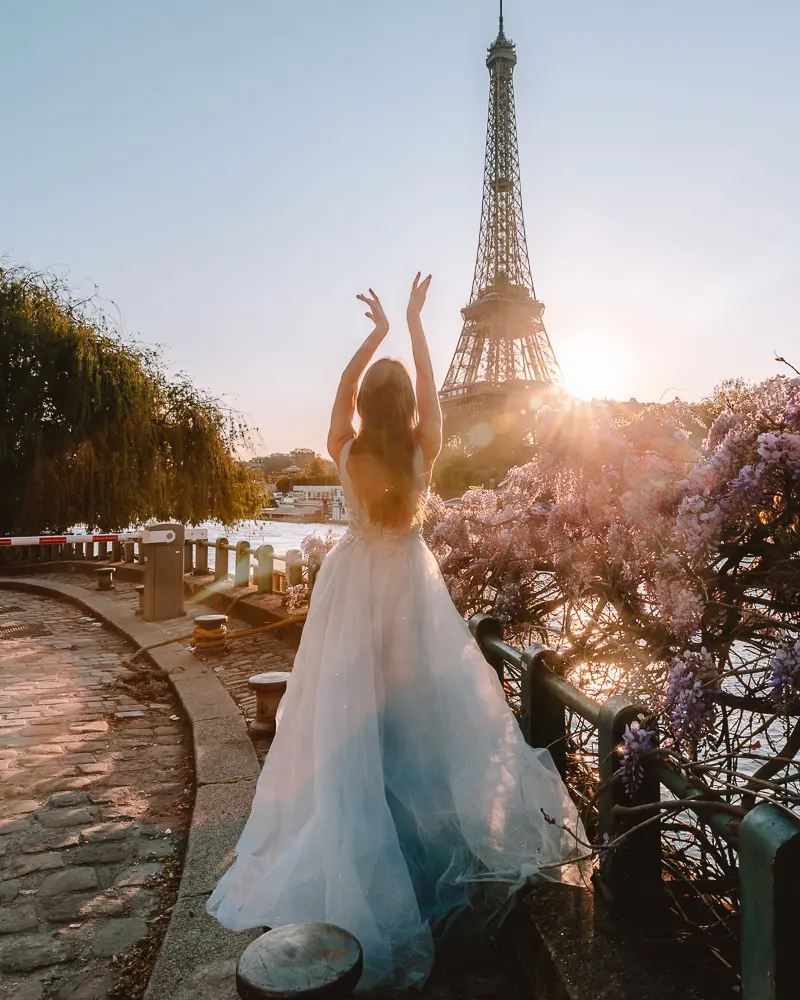 Paris in Bloom, wisteria and Eiffel Tower, Dancing the Earth