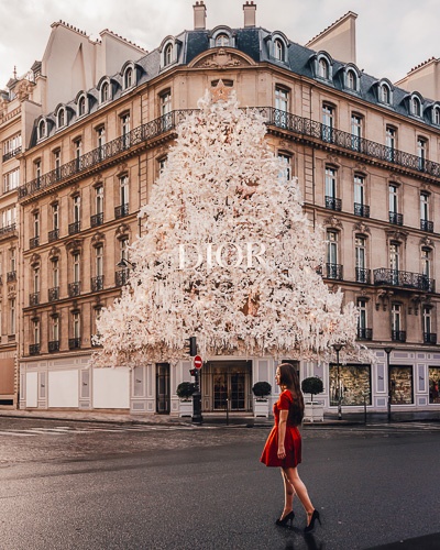 Christmas in Paris Dior white Christmas tree by Dancing the Earth