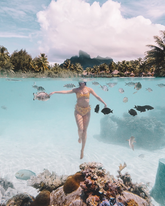Four Seasons Bora Bora lagoon sanctuary underwater by Dancing the Earth