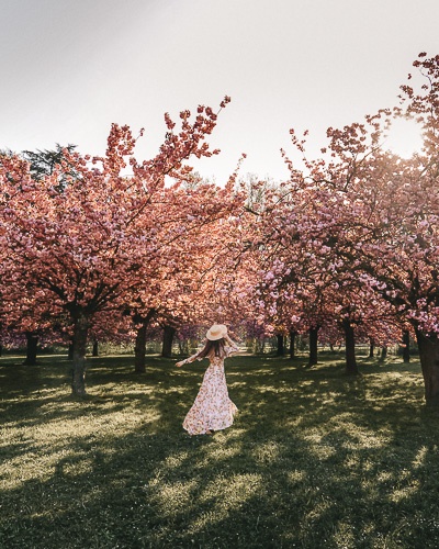 Paris in Bloom - a full photography guide for the best blooming spots