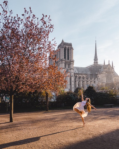 Spring in Paris plums in square René Viviani by Dancing the Earth