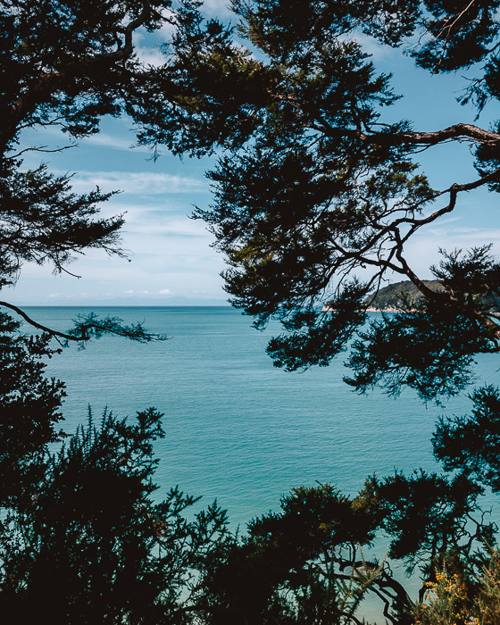 Turquoise water of Abel Tasman framed with trees, Dancing the Earth