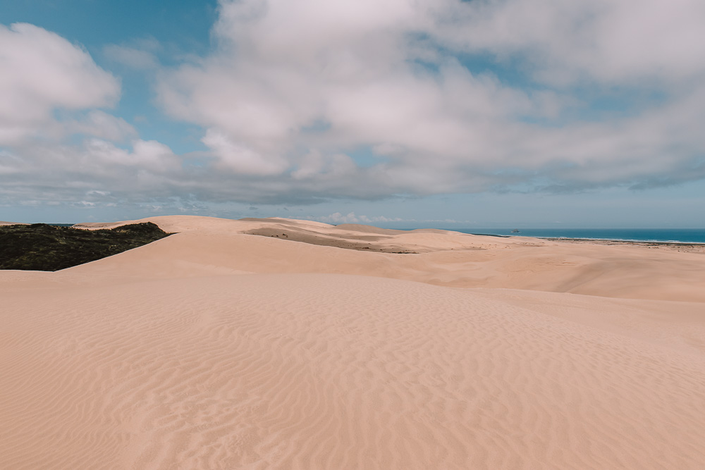 Te Paki sand dunes, Dancing the Earth