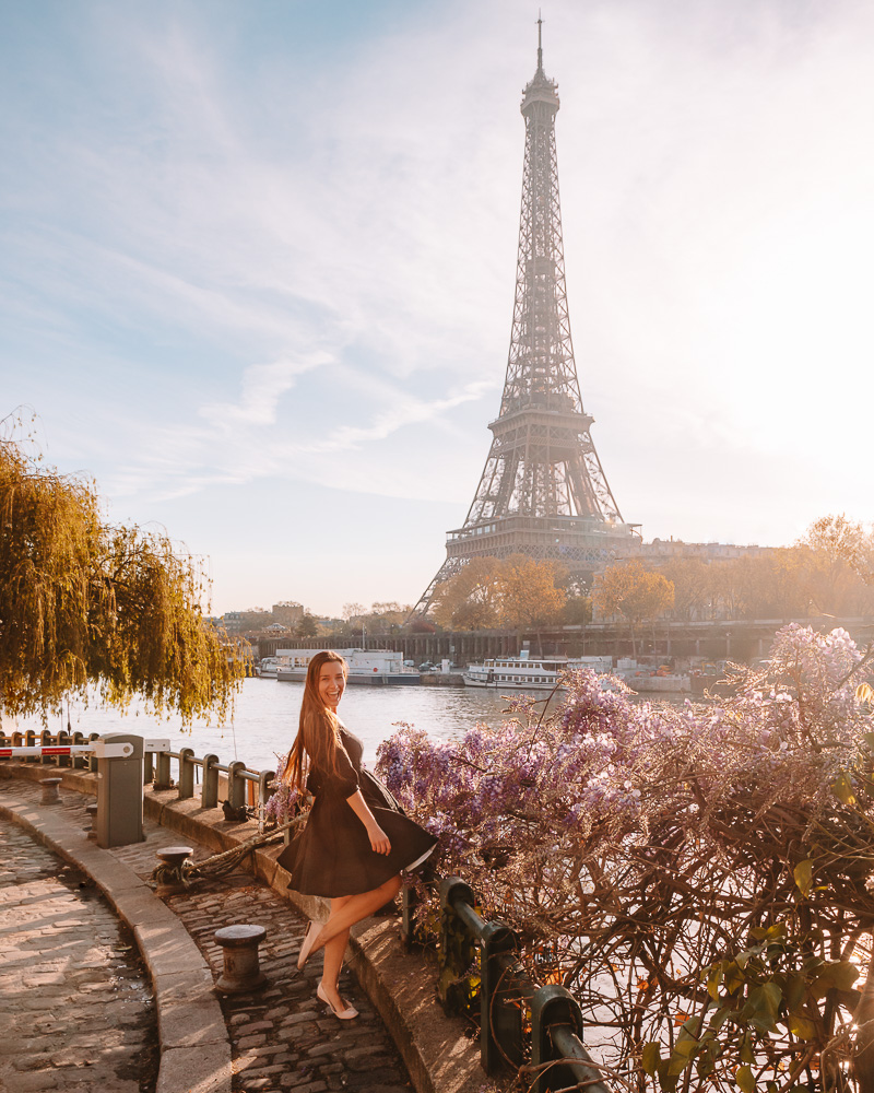 Eiffel Tower and wisteria, Dancing the Earth