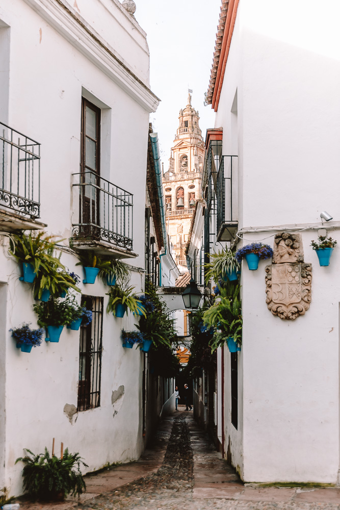 Cordoba Calleja de las Flores Torre Campanario, by Dancing the Earth