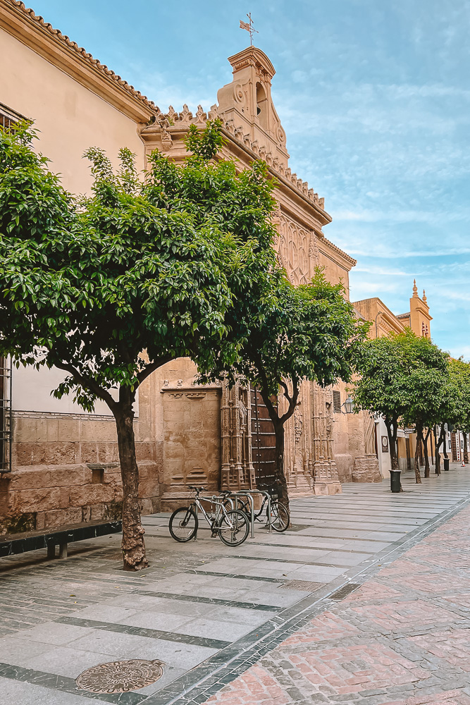 Cordoba Palacio Episcopal, by Dancing the Earth