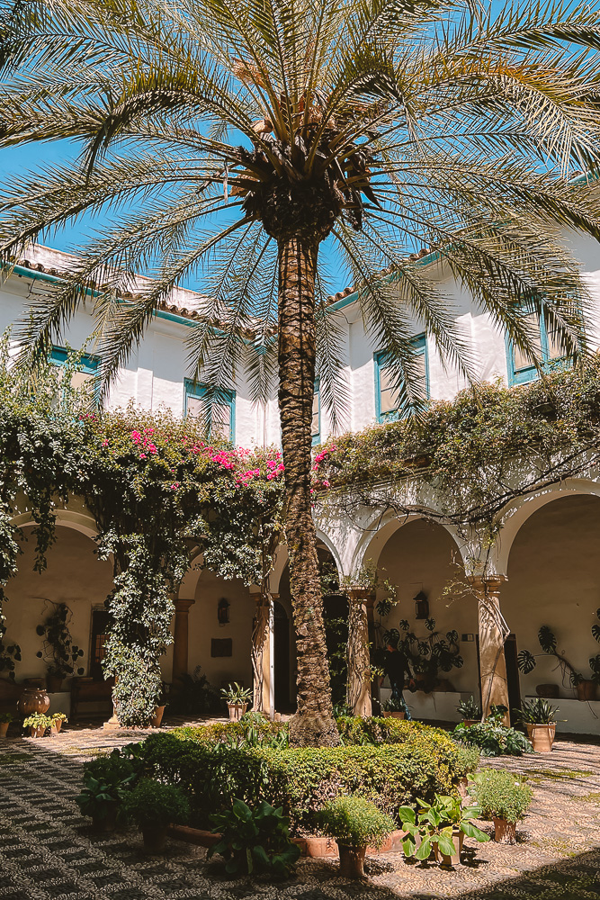 Cordoba, Palacio de Viana, by Dancing the Earth