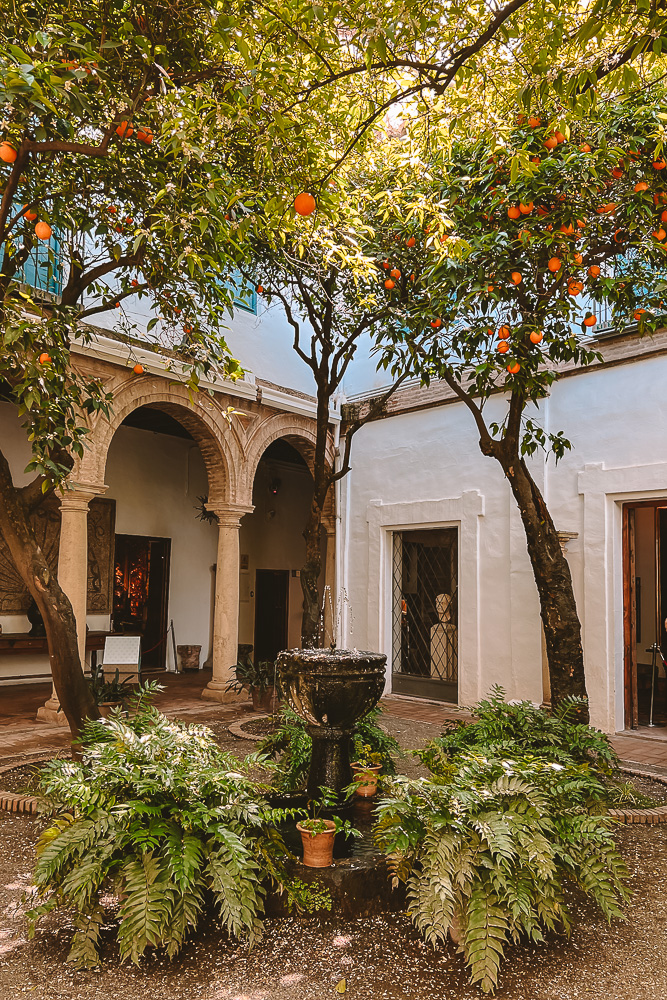 Cordoba, Palacio de Viana, orange trees, by Dancing the Earth