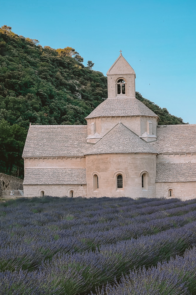 Provence Abbaye Senanque, by Dancing the Earth