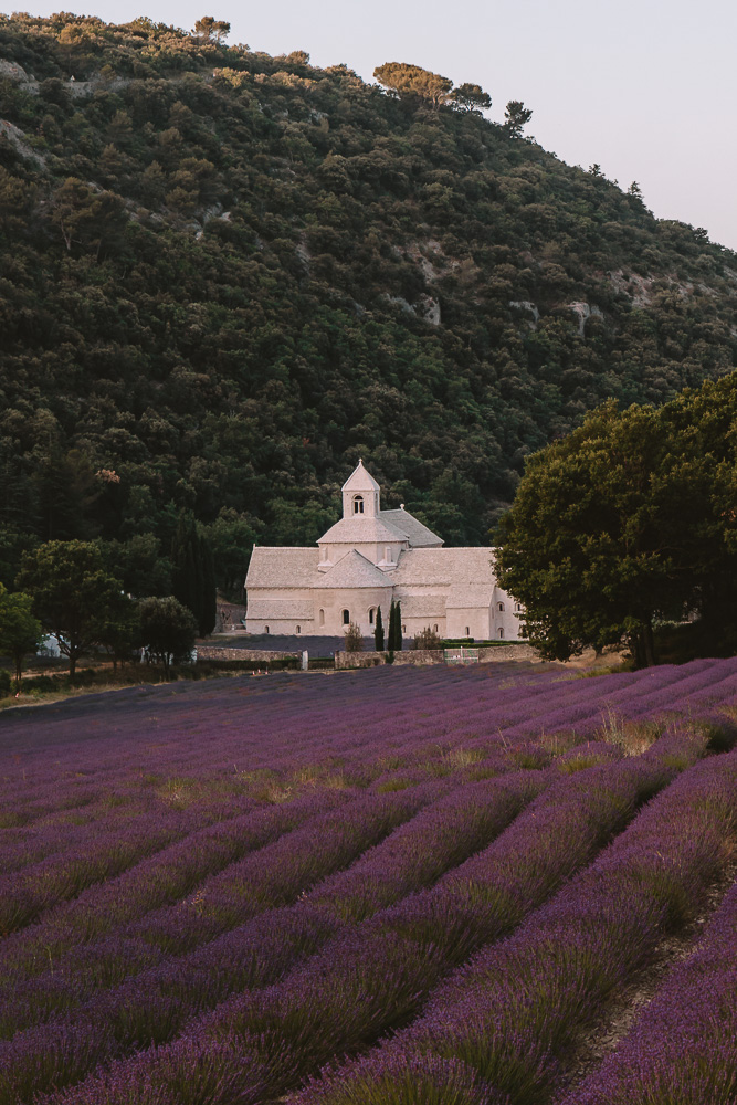 Provence villages, Abbaye Notre-Dame de Senanque, lavandes, by Dancing the Earth