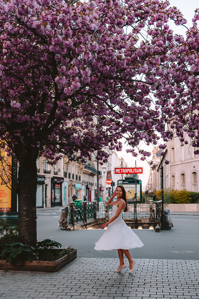 Spring in Paris, Falguiere metro station cherry blossoms, by Dancing the Earth