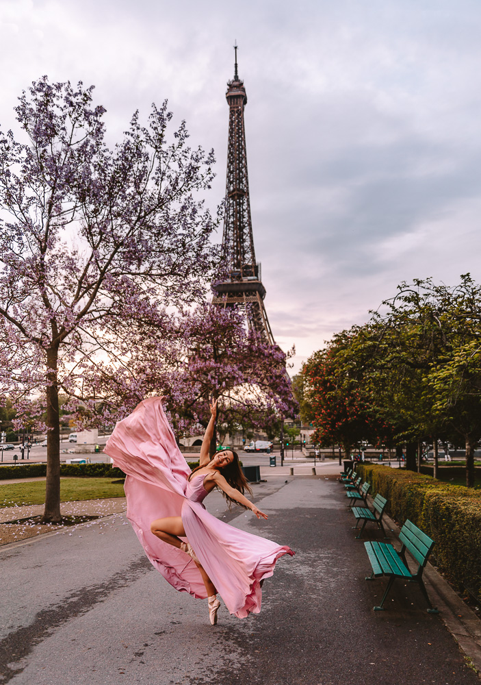 Paulawnia and Eiffel Tower, by Dancing the Earth