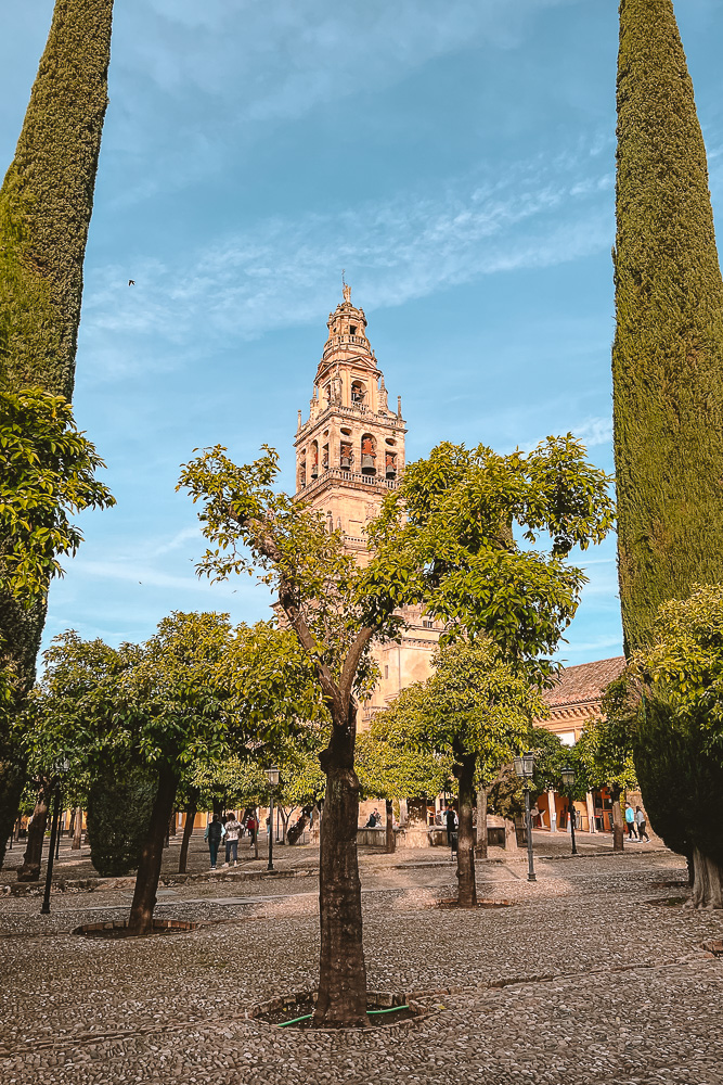 Cordoba, Bell Tower, by Dancing the Earth