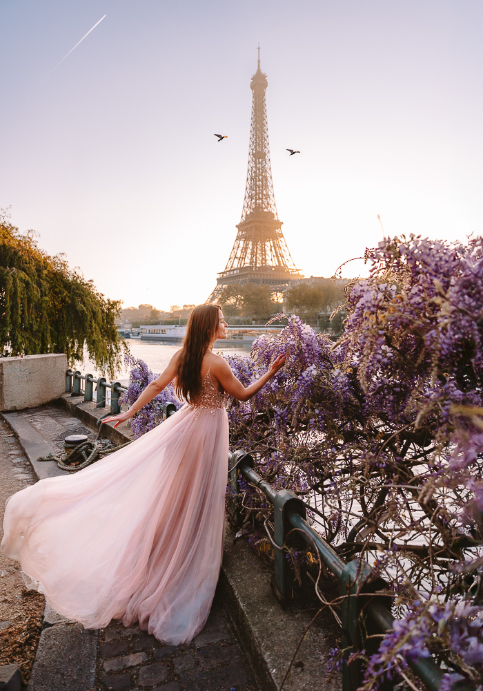 Eiffel Tower Port Debilly wisteria, by Dancing the Earth