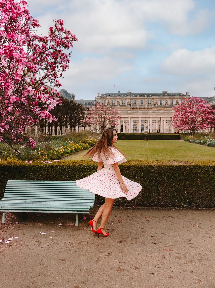 Paris Palais Royal magnolias, by Dancing the Earth