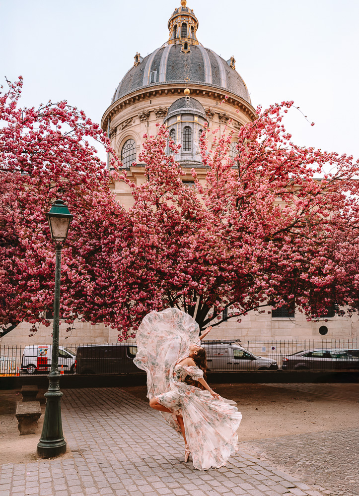 Paris Spring Insitut de France cherry blossoms, by Dancing the Earth