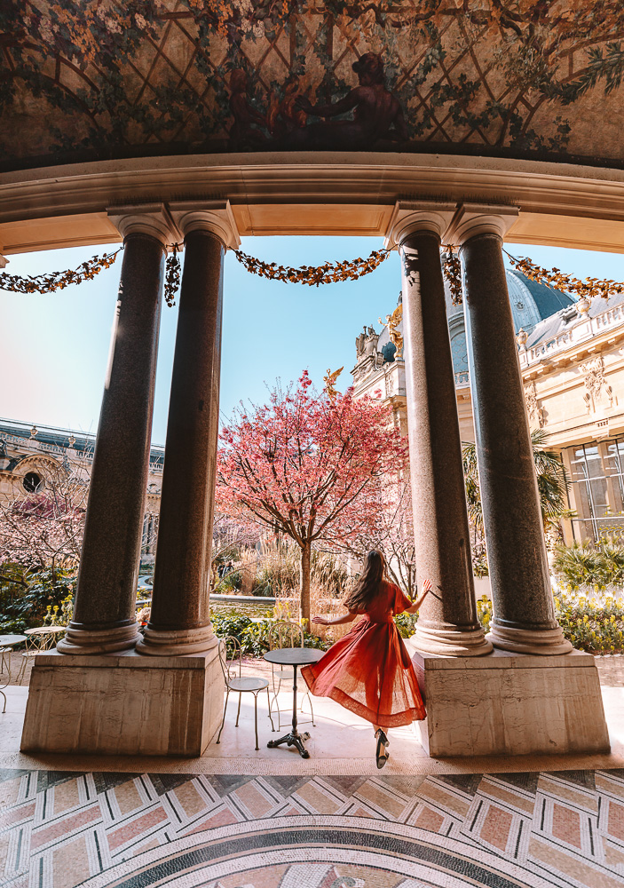 Paris Spring Jardin du Petit Palais cherry blossoms, by Dancing the Earth