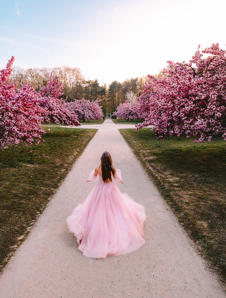 Paris Spring Parc de Sceaux drone, by Dancing the Earth