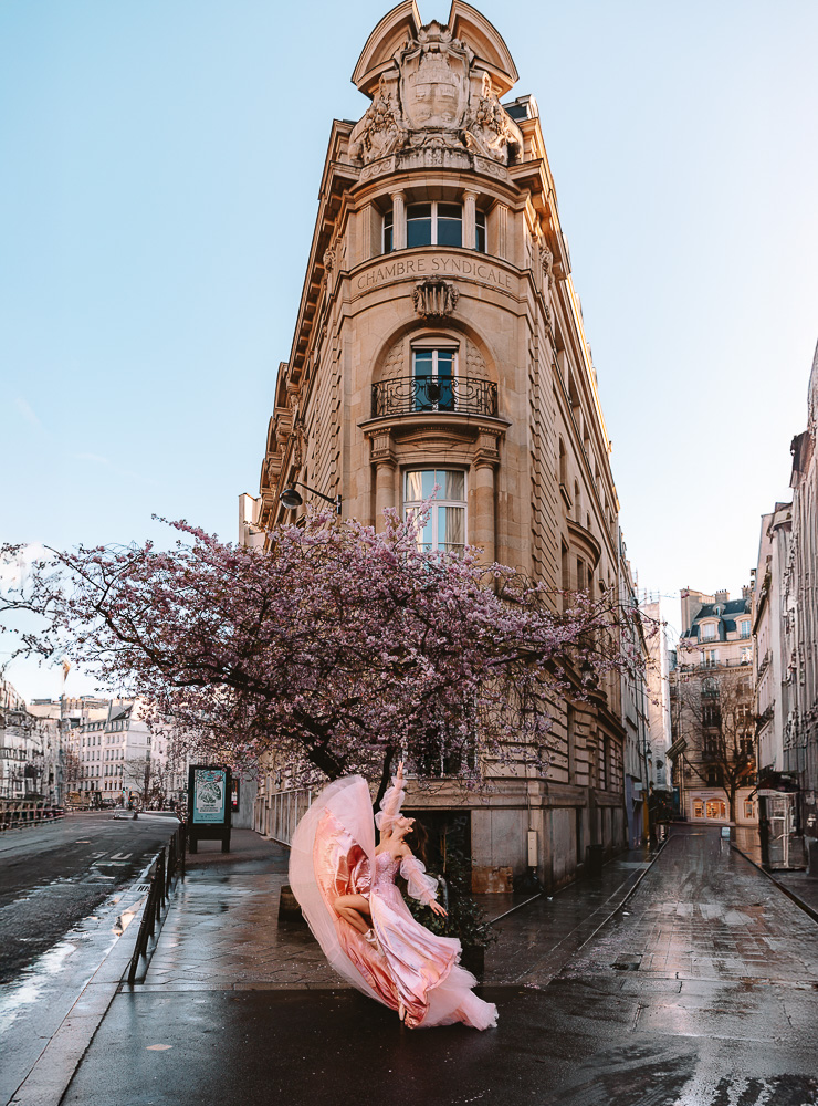 Paris Spring Rue du Louvre cherry blossoms, by Dancing the Earth