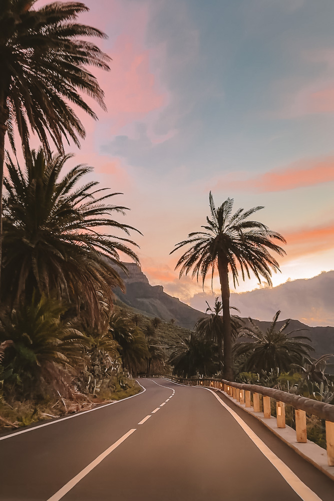 Alojera sunset road palm trees, by Dancing the Earth