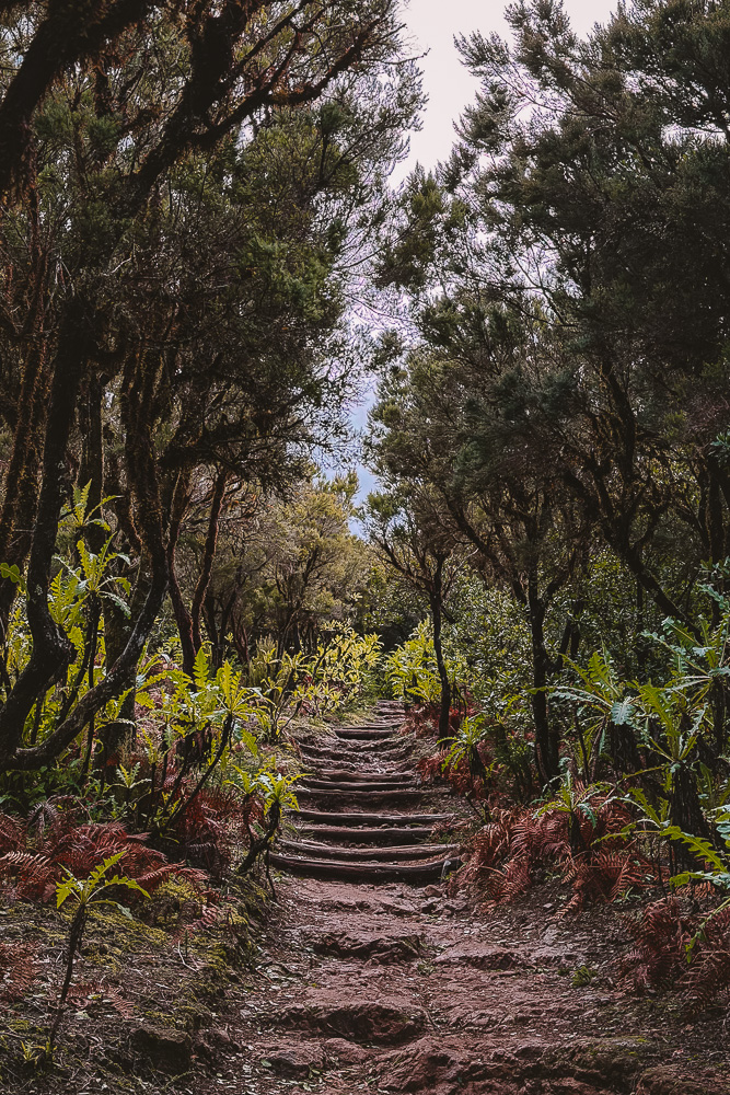 Alto de Garajonay, by Dancing the Earth