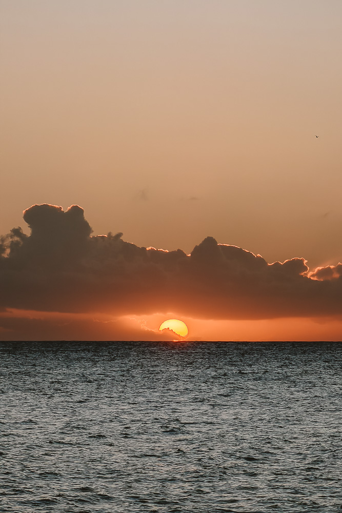 Charco de Alojera, sunset, by Dancing the Earth