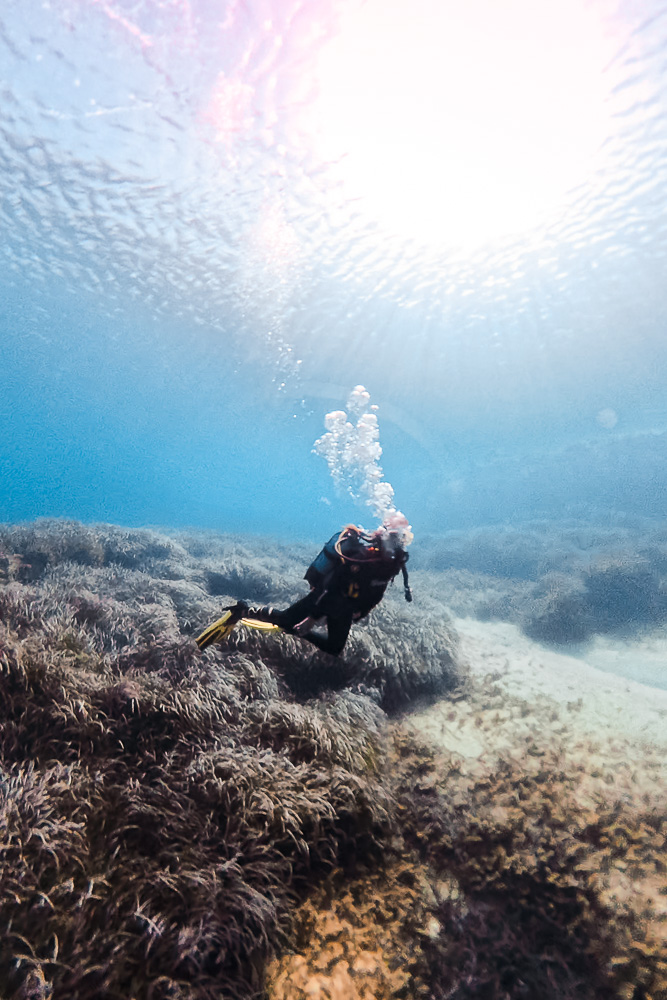 Diving in Gozo, by Dancing the Earth