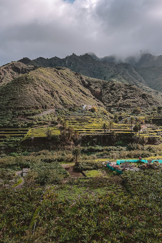 Hermigua terraced valley, by Dancing the Earth