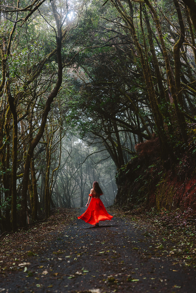 La Gomera, Garajonay National Park, by Dancing the Earth