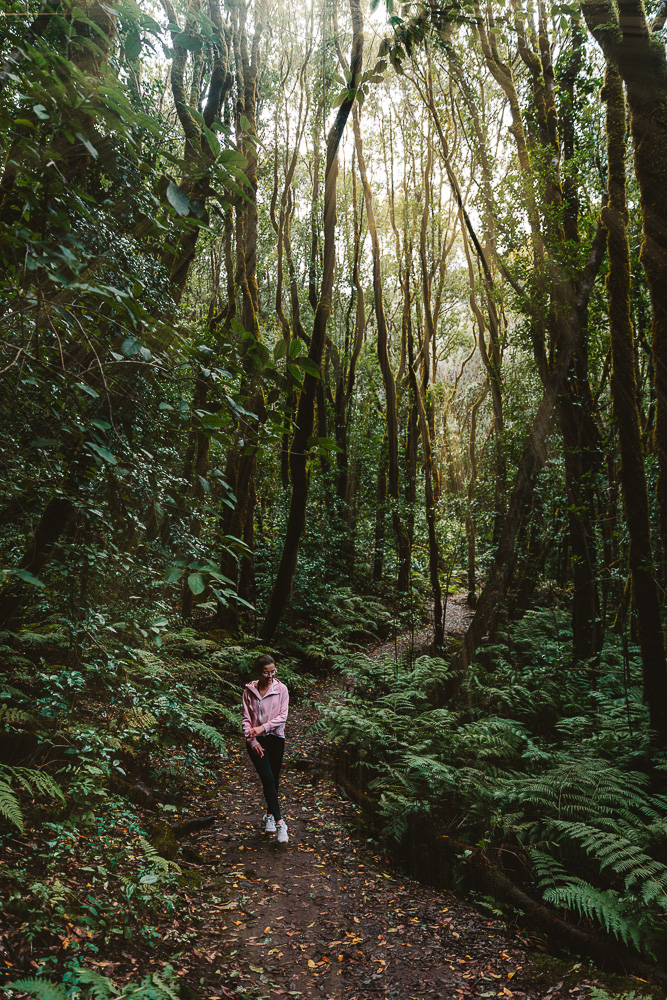 La Gomera, Garajonay National Park, hike from El Cedro to Ermita de Lourdes, by Dancing the Earth