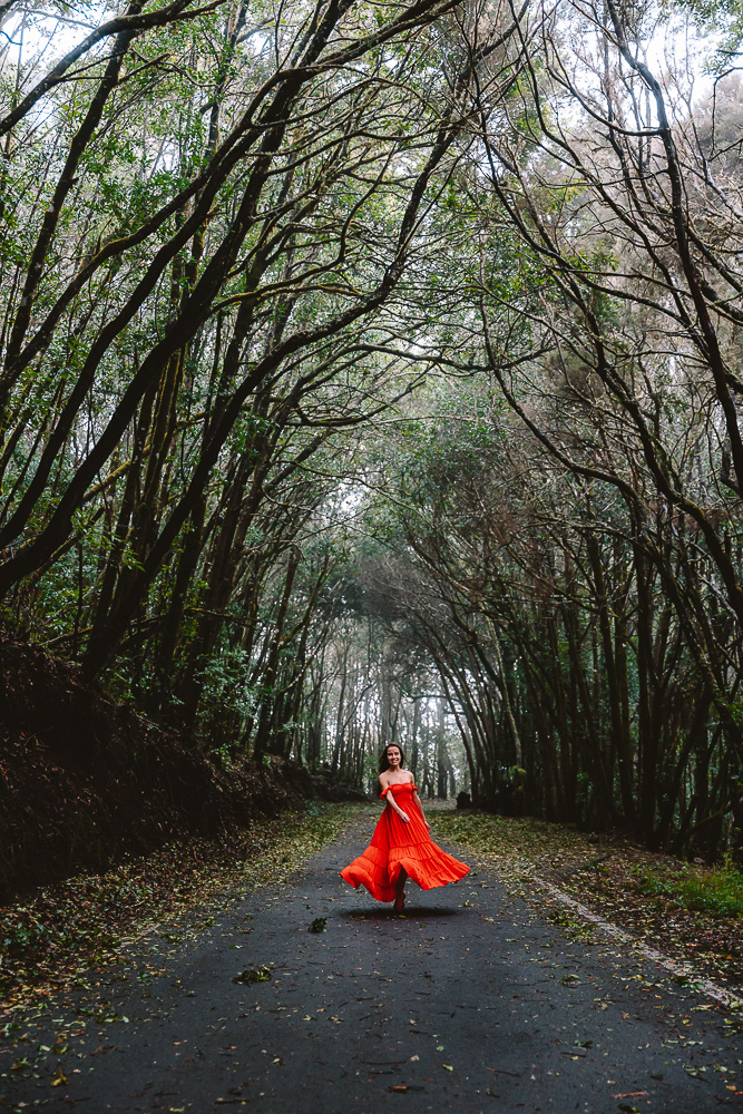 La Gomera Garajonay National Park, road near Piedra del Gallo, by Dancing the Earth