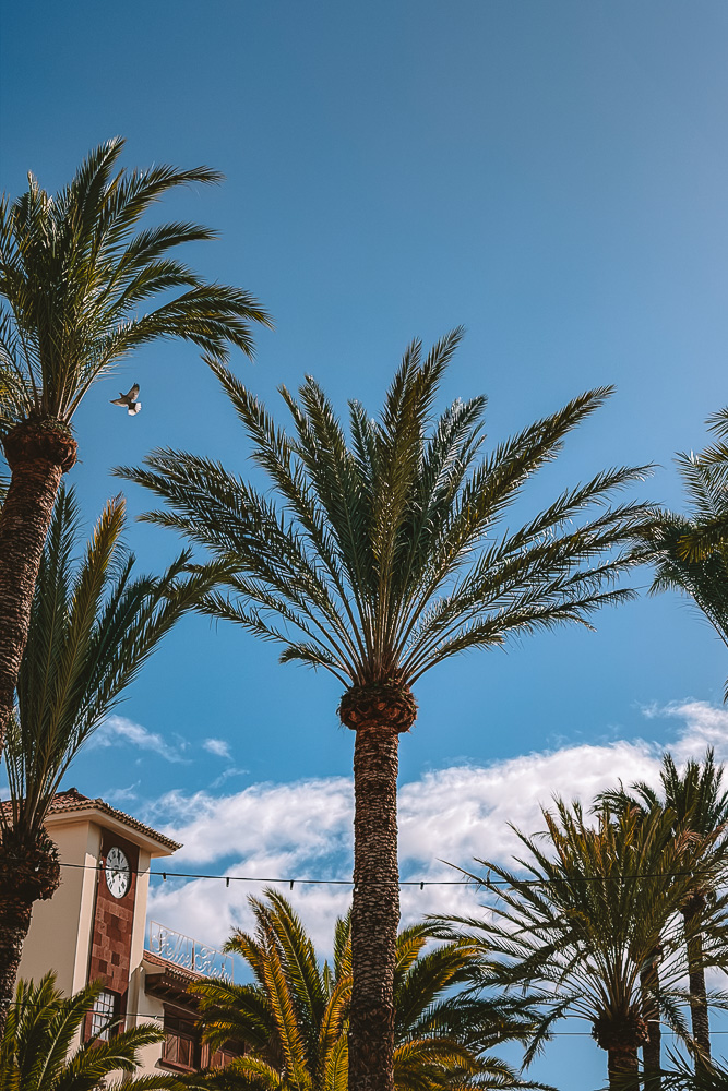 La Gomera, San Sebastian, by Dancing the Earth