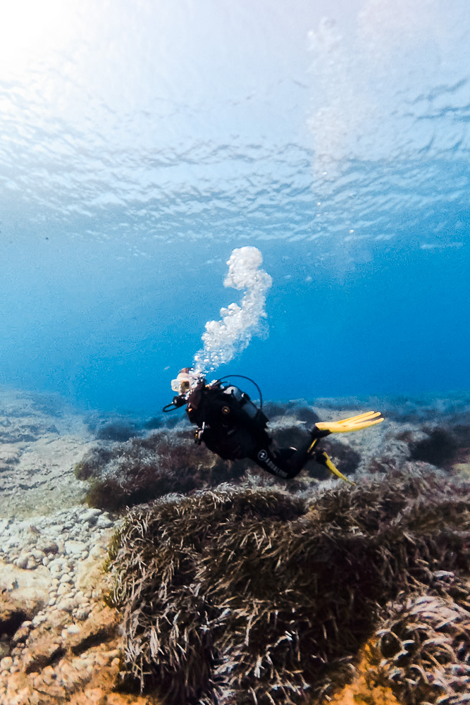 Malta, Gozo diving, by Dancing the Earth