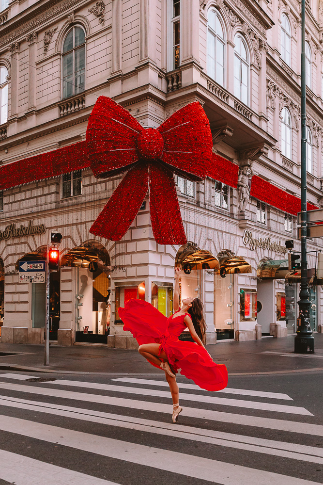 Vienna, Popp & Kretschmer Christmas bow, by Dancing the Earth