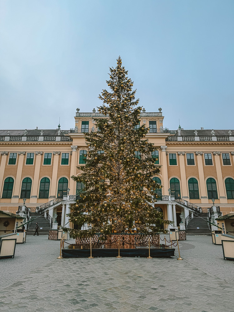 Vienna, Schonbrunn Palace Christmas tree, by Dancing the Earth