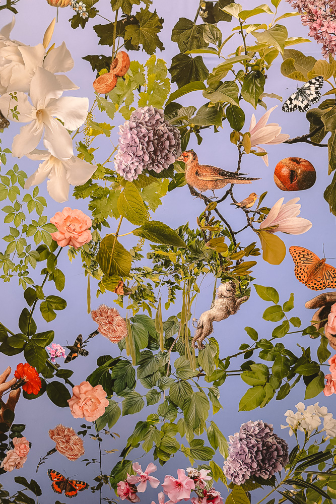 Bergamo, inside Accademia Carrara, by Dancing the Earth